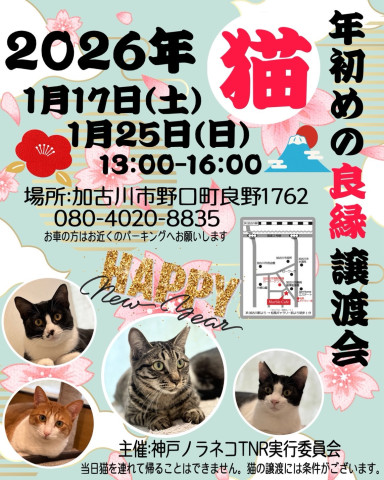 マーブル譲渡会