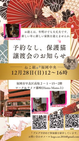 ねこ組🐾福岡中央 譲渡会