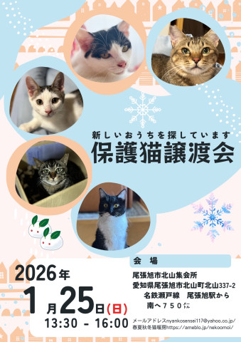 保護猫譲渡会