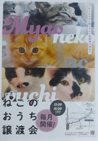 ミャオ！ねこのおうち