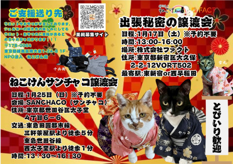 ねこけんSANCHACO譲渡会