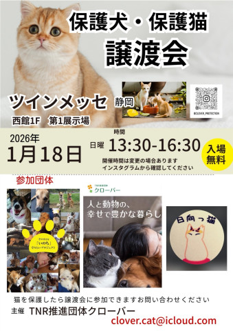 クローバー保護猫譲渡会&地域猫活動相談会 in静岡市