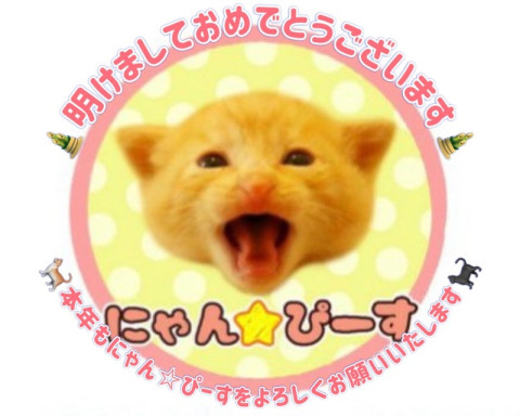 【第339回】にゃん☆ぴーす猫の譲渡会　