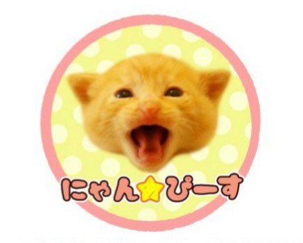 【第341回】にゃん☆ぴーす猫の譲渡会　