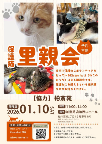 柏斎苑保護ねこ里親会