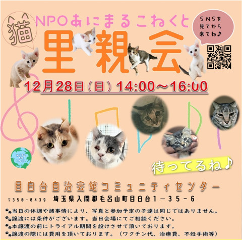 あにこね里親会