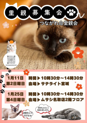 つながれ命！里親会