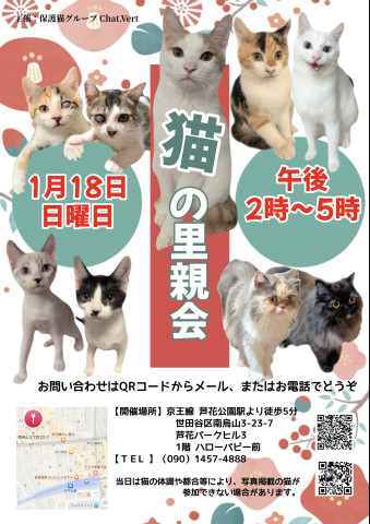 猫の里親会