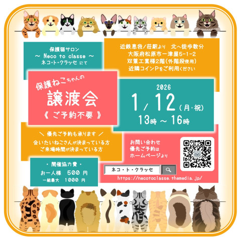 ネコトクラッセ譲渡会