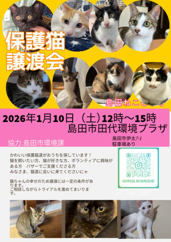 島田ねこむすび譲渡会