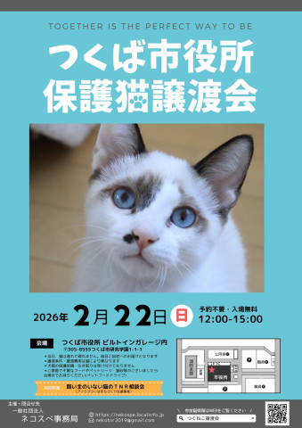 つくば市役所保護猫譲渡会