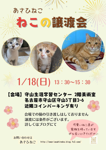 ねこの譲渡会 in守山生涯学習センター