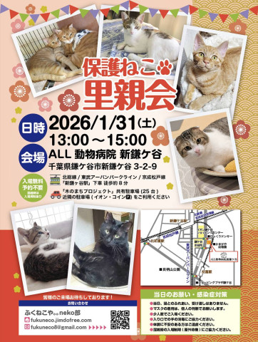 保護ねこ里親会 @ 新鎌ヶ谷