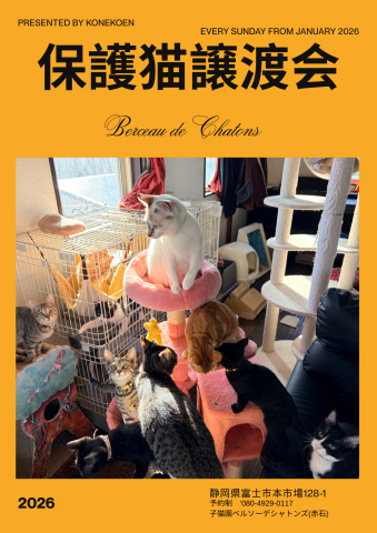 保護猫譲渡会
