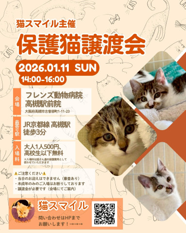 ねこの譲渡会＠高槻市