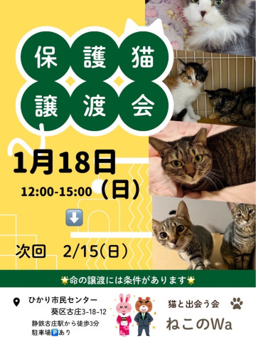 ねこのWa譲渡会　静岡市葵区