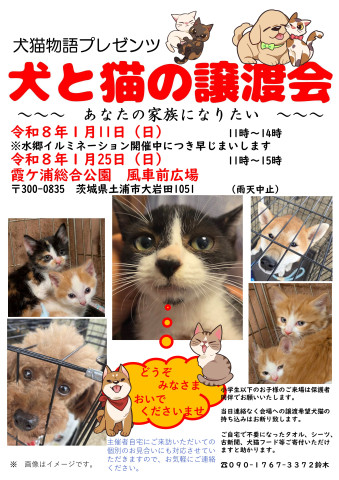 犬と猫の譲渡会～あなたの家族になりたい～　　　　　　　　