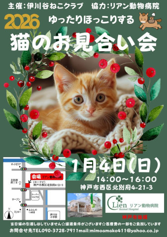 ゆったりほっこりねこのお見合い会