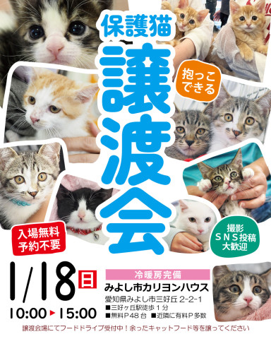 ゆっくり抱っこできる譲渡会★みよし市