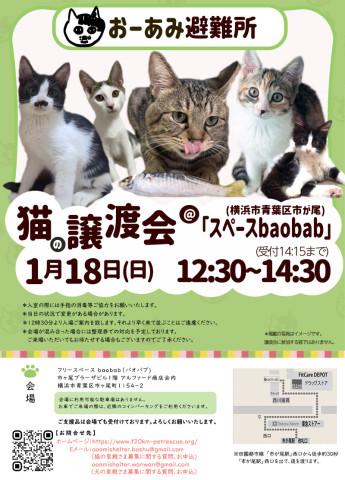 おーあみ避難所譲渡会in市ヶ尾