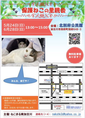 猫好きのためのSNS - 愛猫の日記や写真でユーザ交流