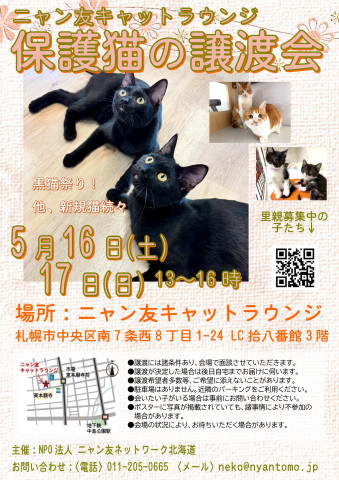 札幌】ニャン友キャットラウンジ譲渡会〈5/16-17〉 - 猫の譲渡会掲示板