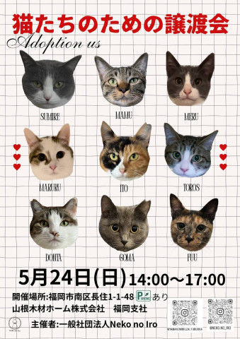 猫たちのための譲渡会
