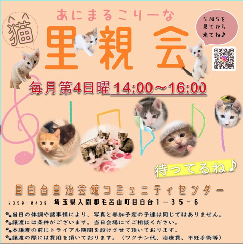あにこり猫の里親会