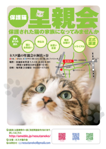 ネスタ猫の里親会@阿佐ヶ谷
