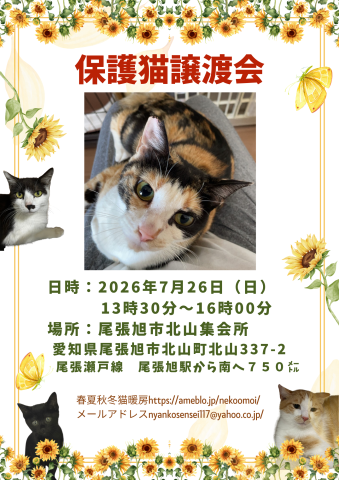 保護猫譲渡会