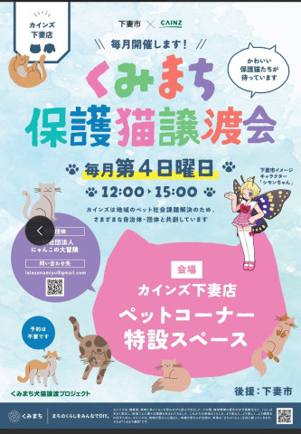 くみまち保護猫譲渡会