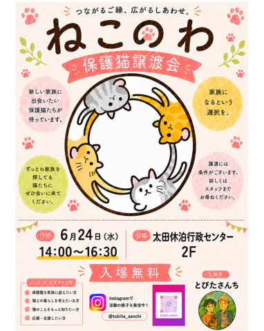 ねこのわ譲渡会