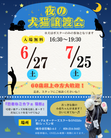 60歳以上の方大歓迎！夜の犬猫譲渡会