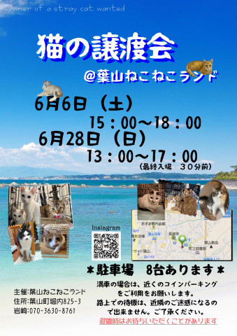 葉山ねこねこランド