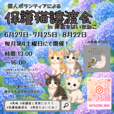 長崎の個人ボランティアによる保護猫譲渡会