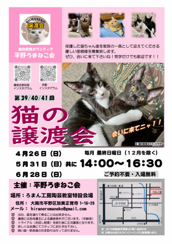 第41回 平野ろまねこ譲渡会
