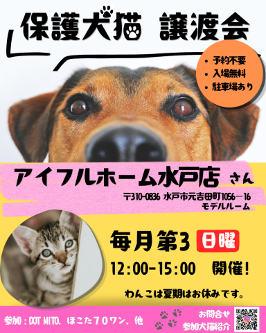 譲渡会 at アイフルホーム水戸店