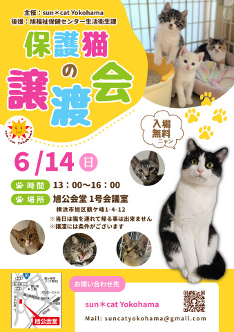保護猫の譲渡会@sun＊cat Yokohama
