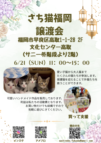 さち猫福岡譲渡会　文化センター高取