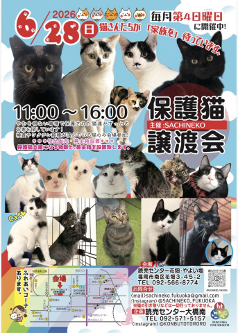 さち猫福岡譲渡会　読売センター花畑・やよい坂