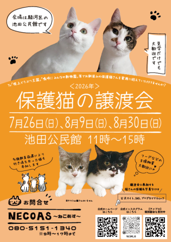 NECOAS　譲渡会　静岡市駿河区　８月から毎月２回開催！