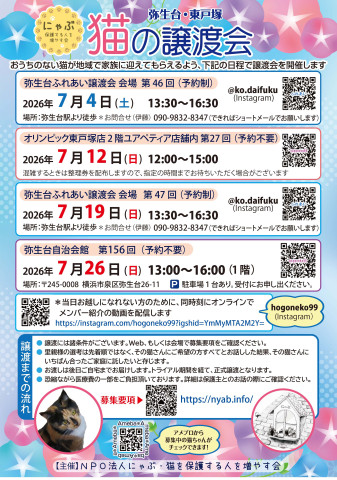 弥生台・東戸塚　猫の譲渡会