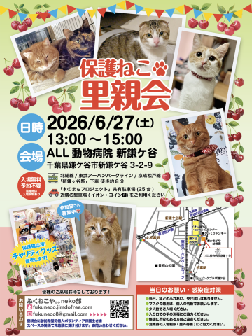 保護ねこ里親会 @ 新鎌ヶ谷