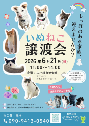 いぬねこ譲渡会