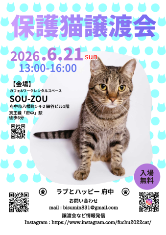 ラブとハッピー府中【保護猫譲渡会】