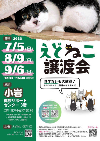 えどねこ譲渡会
