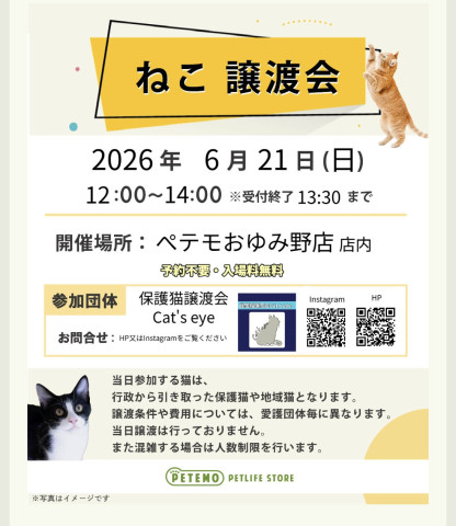 保護猫譲渡会Cat'seye