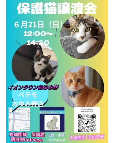 保護猫譲渡会Cat'seye