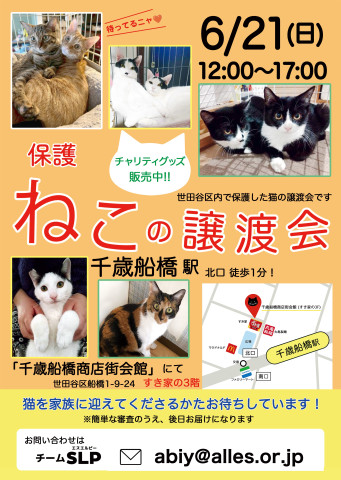 チームＳＬＰ世田ヶ谷譲渡会