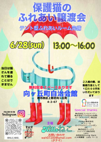 保護猫のふれあい譲渡会